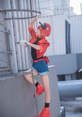 日韩在线成人导航-免费国语免费高清视频