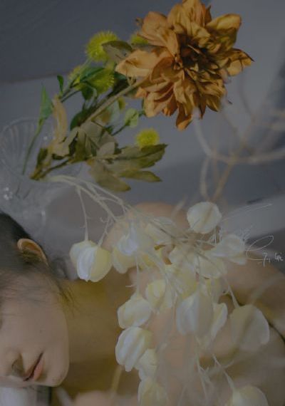 日韩久久一区-云播免费在线播放