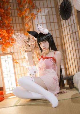 亚洲精品国产专区日韩无v-迅雷影音视频全集