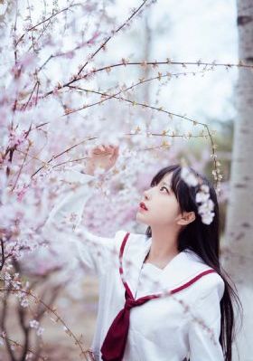 国产欧美一二三区-高清独播免费国语